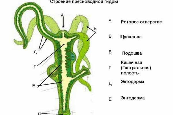 Омг омг сайт официальный